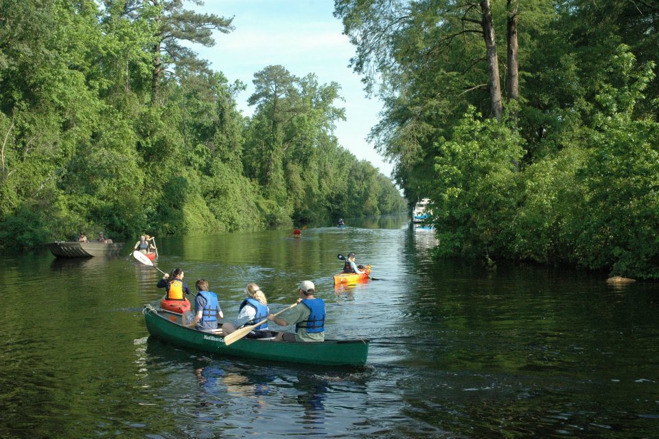 Summer Paddle in the Dismal Swamp